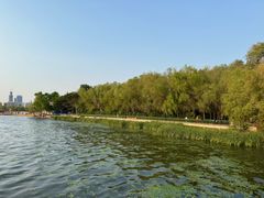 -长春市南湖公园