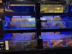-丰鲤楼•闽南茶楼(仟禧汇店)