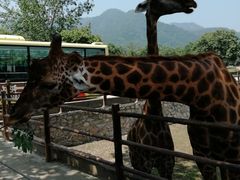 -西安秦岭野生动物园