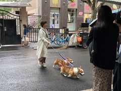 -Apollo·西班牙小酒馆(安福路店)