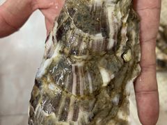 -听海潮渔家酒楼(大沙湾店)