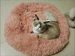 -宠福鑫康馨动物医院·骨科·眼科