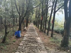 -雨花胜境