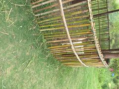 上海明珠湖天鹅苑-明珠湖天鹅苑·农家菜馆