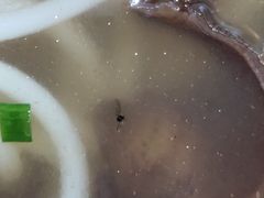 二号小虫子-陈记柳州螺蛳粉(大坪店)