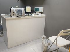 -关爱宠物医院·猫科中心·消化科(滨湖万达分院)