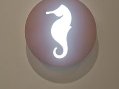 -海马体大师店(广州天汇广场IGC大师店)