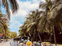 -小海豚•老字号海鲜餐厅(天涯店)