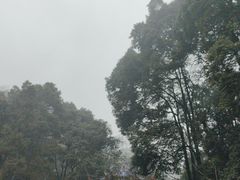 -青城山