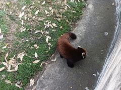 -合肥野生动物园