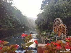 -广州白江湖森林公园