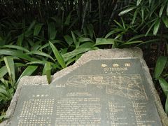 -广州兰圃