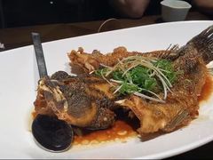 -品味杭州·粤式融合·海鲜小馆·钱江新城CBD