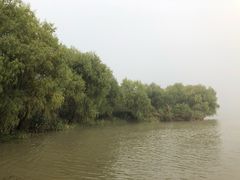-长兴太湖图影湿地文化园