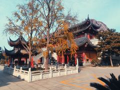 -上海东林寺(金山区)