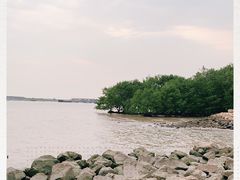 -宝安西湾红树林湿地公园