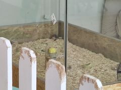 -怪兽屋·羊驼·猫咖·狗咖(俊华广场店)