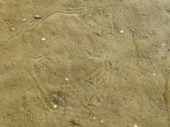 -北海金海湾红树林生态旅游区