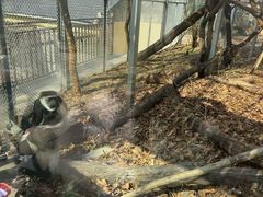 -合肥野生动物园