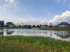 -呈贡滇池生态湿地公园