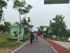 -上海长兴岛郊野公园