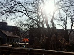 -张学良旧居陈列馆