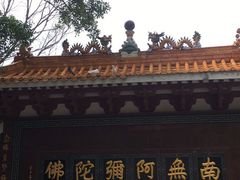 -深圳仙湖植物园