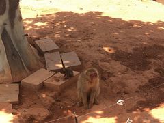 -辛玛王国游乐园