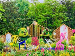 -上海共青森林公园