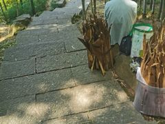 -杭州黄龙洞