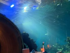 -海棠湾洲际-涛·海底餐厅·美人鱼·自助餐·海底隧道