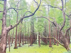 -尚湖风景区