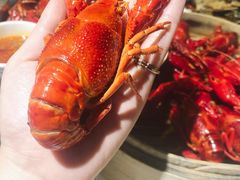 -文和友老长沙龙虾馆(化龙池店)