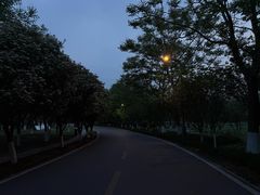 -洋湖国家湿地公园