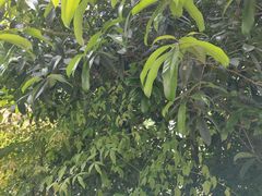 -苏州工学院(东南校区)