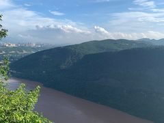 -铁山坪森林公园