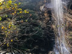 -少华山国家森林公园