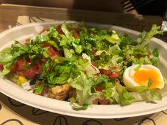 -油梨树AVOCADO TREE(望京店)