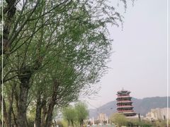 -永定河休闲森林公园