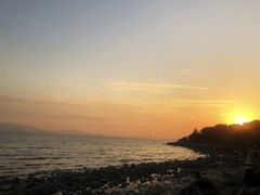 -深圳湾公园(南山区)
