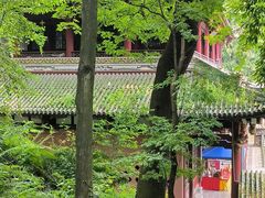-凤栖山
