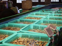 水产区-王庄阿咪海鲜大排档(上下杭店)