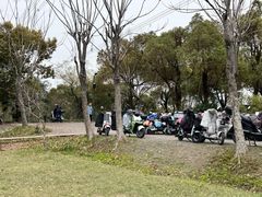 -嘉北郊野公园