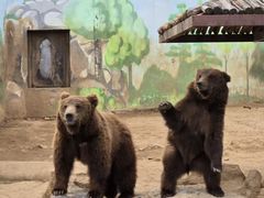 -济南野生动物世界