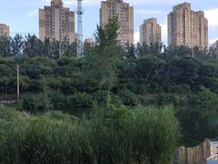-前关湿地公园