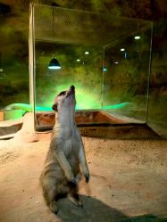 -酷嗒动物文化乐园(cutezoo西溪乐天城店)