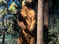 -陕西自然博物馆