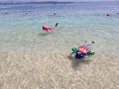 -东姑阿都拉曼海洋公园