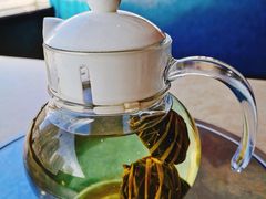 -墨脱石锅椰子鸡•香草鸭•东山羊(大东海店)