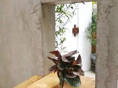 -拾壹cafe·工作室